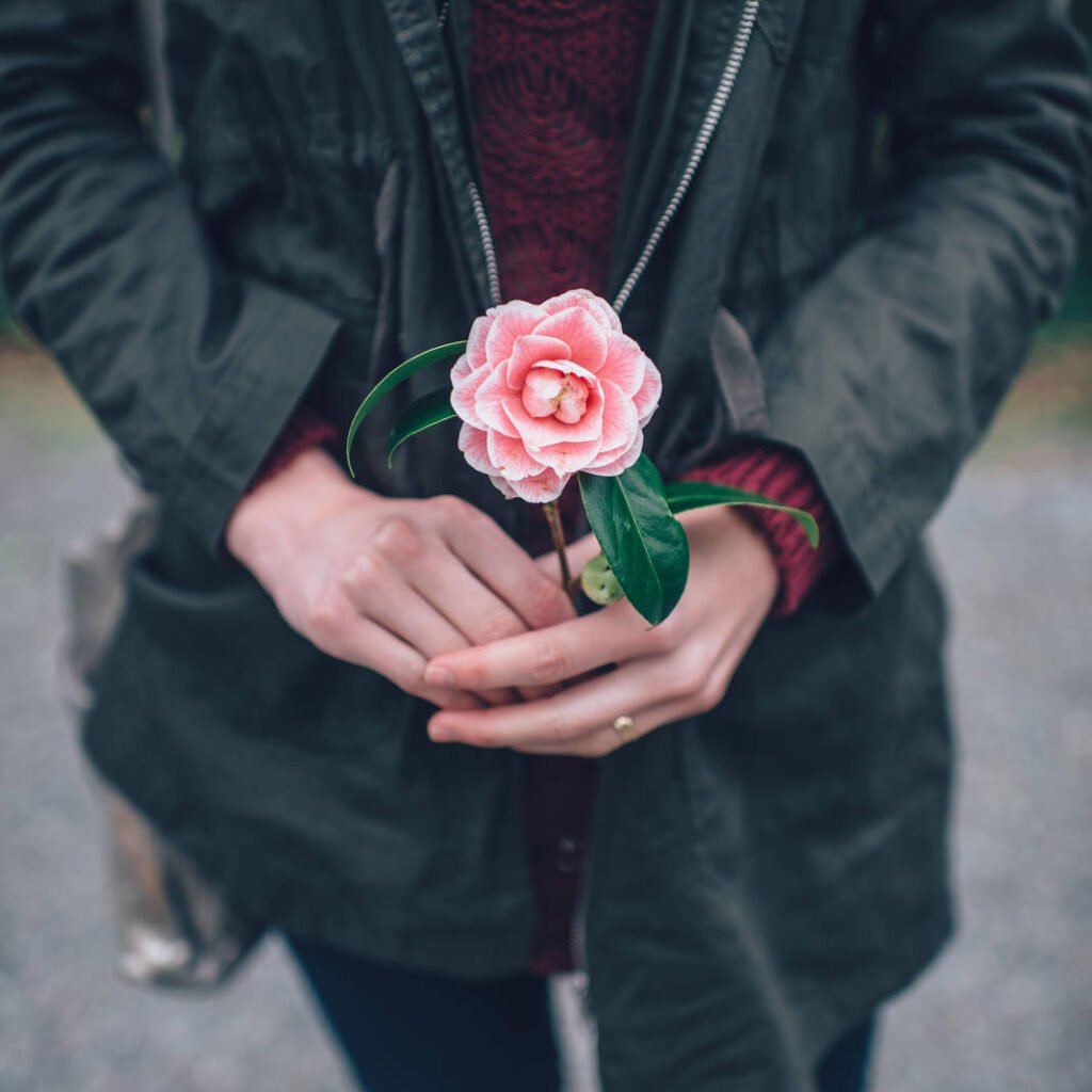 The Wondrous Life and Mysterious Appearance of Eagles