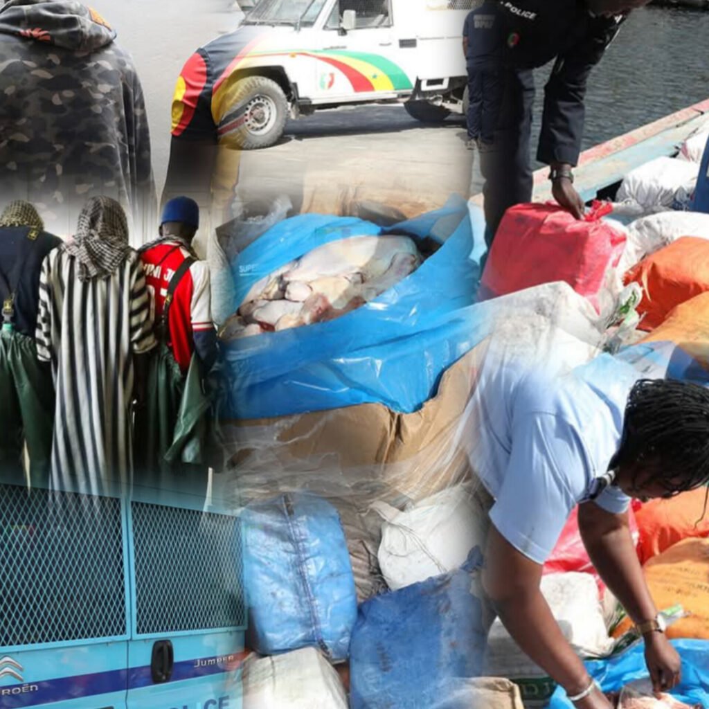 Interpellation de huit (08) individus au large de Somone par le Commissariat spécial du port (DPAF) pour contrebande de denrées alimentaires