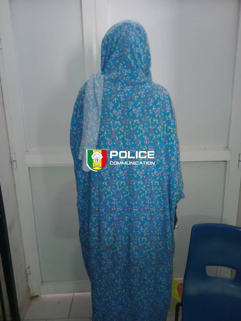 Défèrement au Parquet d’un individu pour escroquerie, filouterie et vol au préjudice de vendeurs en ligne.