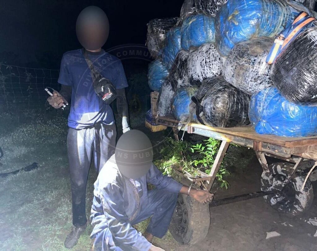 Mbodiène : la Gendarmerie saisit 427 kg de chanvre indien et interpelle un suspect.