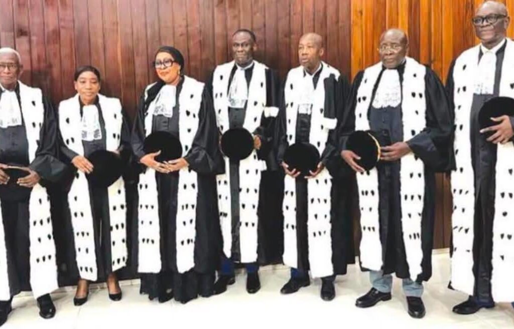 Le Conseil constitutionnel est créé pour contenir le Parlement, non pour l’enterrer.(Dr Salif Sané)